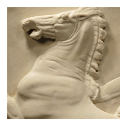 Elgin Horse Head Parthenon Wall art